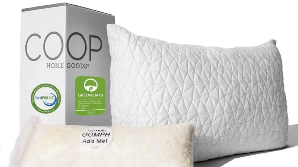 Coop Home Goods Adjustable Loft Pillow for airbnb